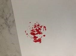 Mother's Day Painted Roses Craft