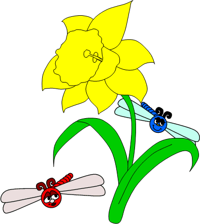 daffodil and dragonflies