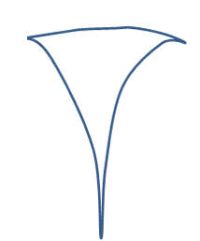 Cut a shape like this from the paper plate.