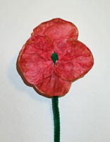 coffee filter poppy craft