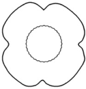 veteran's day poppy