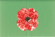 Veteran's Day poppy craft