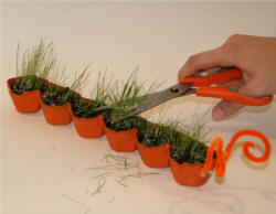 Grass Seed Caterpillar Craft