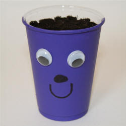 Growing Grass In A Cup - Little Bins for Little Hands