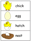 Spring Word Wall Words