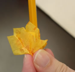 tissue paper flowers