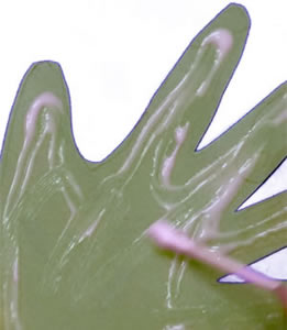 Glue on the handprint