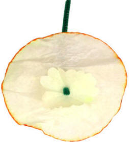 coffee filter craft