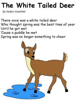 Poem:  The White Tailed Deer