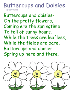 Buttercups And Daisies Poem Buttercups And Daisies Poem