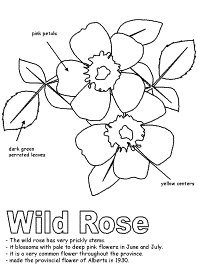 Rose worksheet