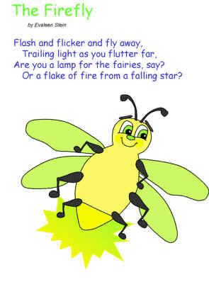 the firefly poem