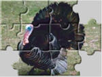 Turkey jigsaw puzzles