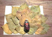 Autumn Leaf Turkey craft