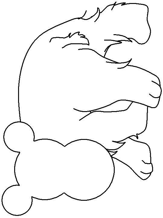 template