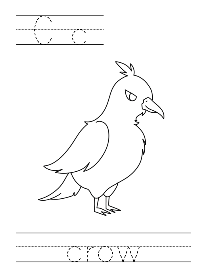 template