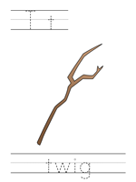 Printable print practice worksheet - Tt twig