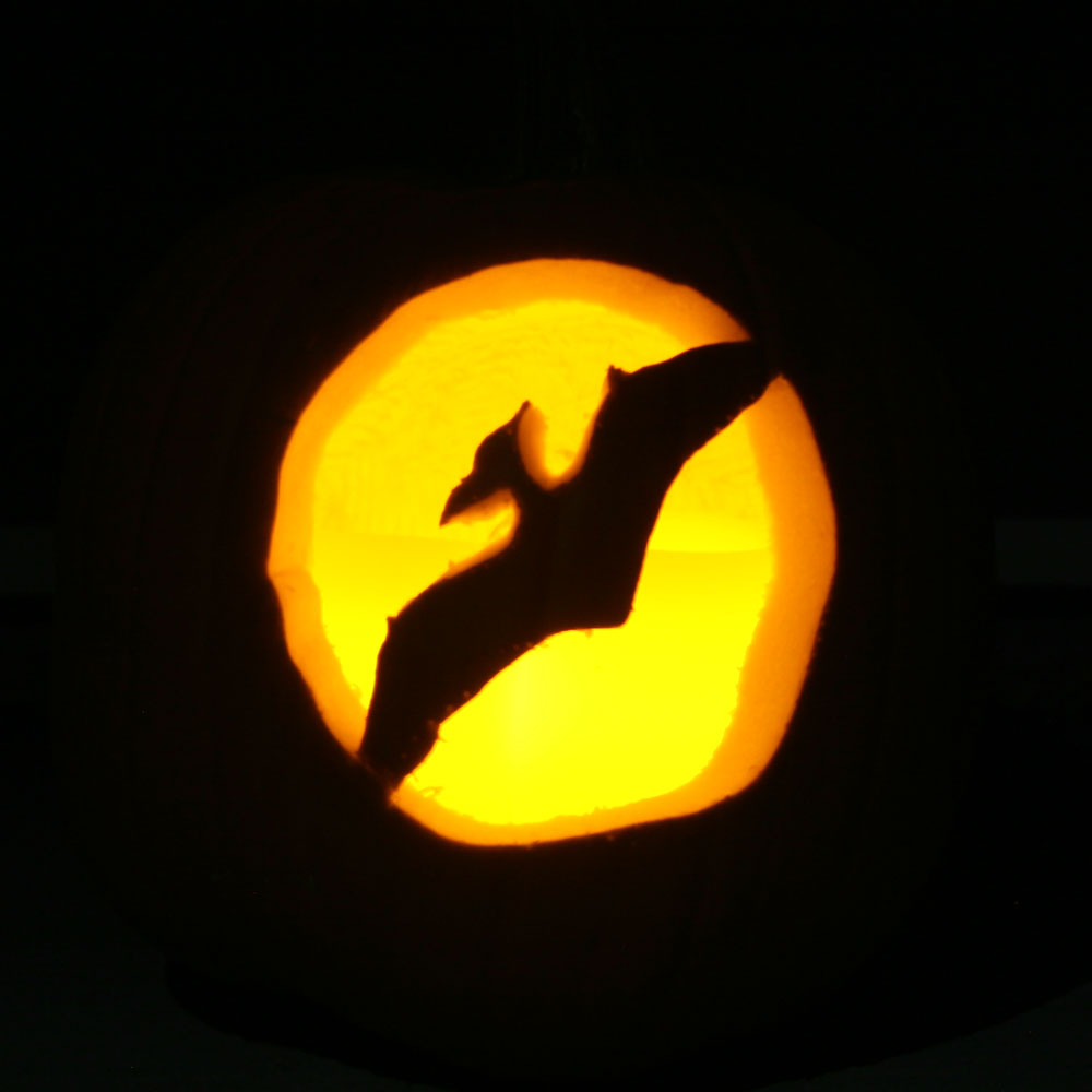 Pterodactyl Pumpkin Carving Template